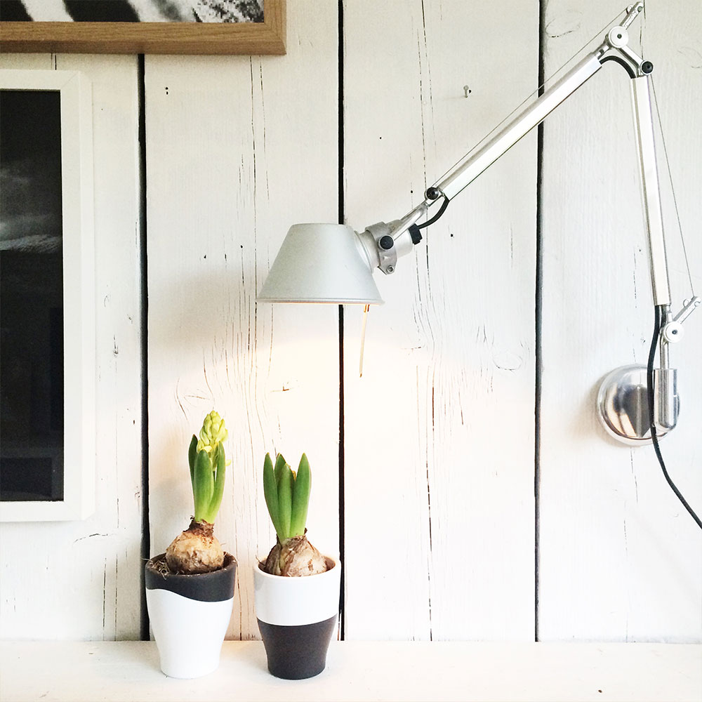 Die Tolomeo Wall Wandleuchte mit großer Reichweite, ideal für Leseecken, Homeoffice-Arbeitsplätze und die Beleuchtung von Kunstwerken oder Regalen.