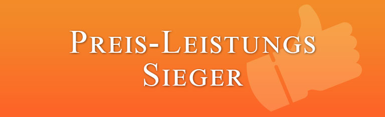 Preis-Leistungs-Sieger von vielen Markenherstellern bei lampenonline.de kaufen
